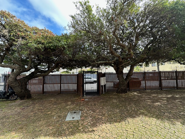 To Let 1 Bedroom Property for Rent in Diep River Western Cape